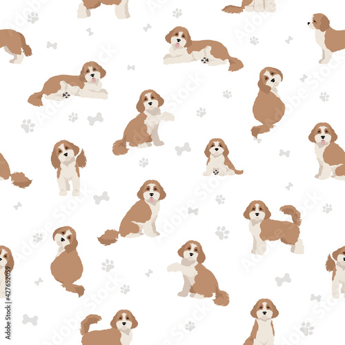 Cavapoo mix breed seamless pattern. Different poses, coat colors set.