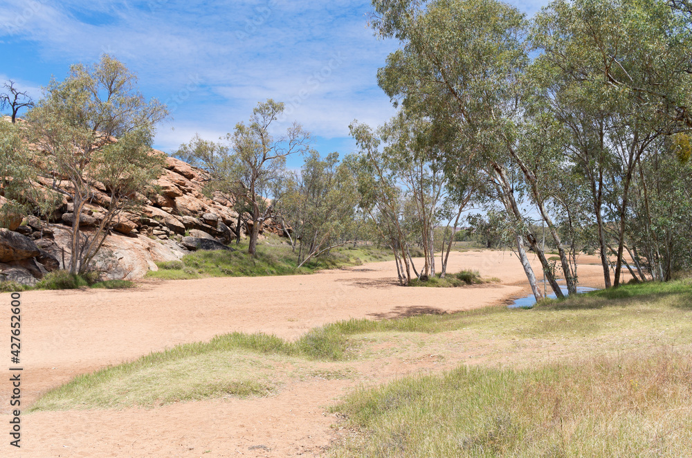 todd river basin near alice springs in australia