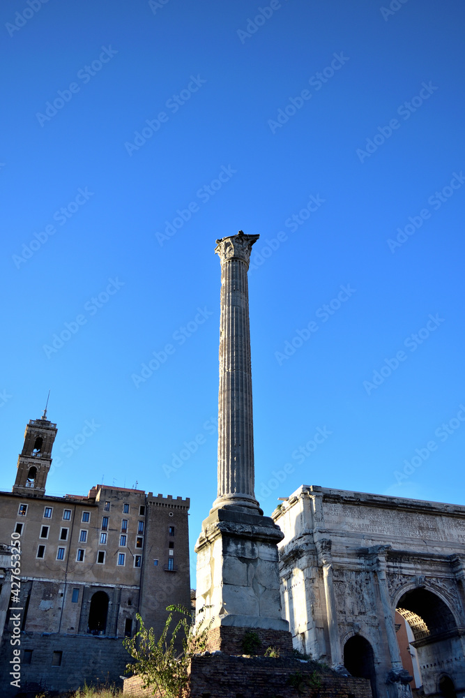 view to the roman forum - a column, Septimius Severus Arch, Senatorial Palace Capitoline Hill - Rome, Italy, Europe	