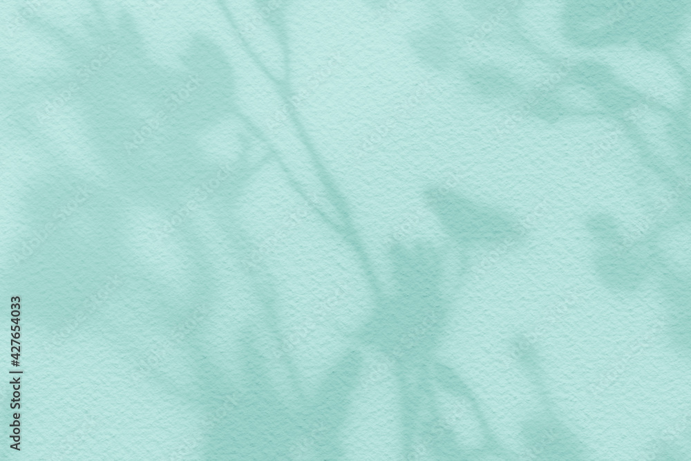 Abstract flower shadows on light mint green bright color wall texture background. Abstract flower shadows on light mint green bright color wall texture background.