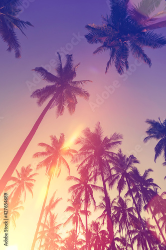Tropical palm tree with sun light on sunset sky and cloud with colorful bokeh abstract background.
