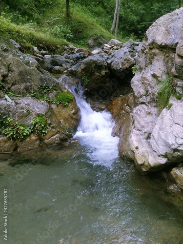 Natural spring in the forest