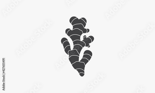 ginger vector illustration. creative icon isolated on white background. photo