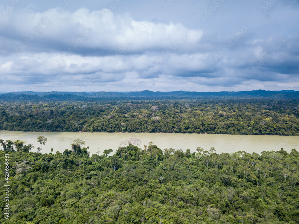 Beautiful drone aerial view of Amazon rainforest trees landscape and Jamanxim river on cloudy day in Para, Brazil. Concept of nature, ecology, environment, global warming, conservation, forest.