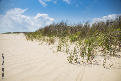 Fototapeta Naklejka Na Ścianę i Meble -  Sand dunes and white sand with blue sky and white clouds in background