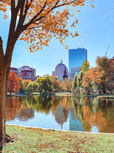 Boston Fall Foliage