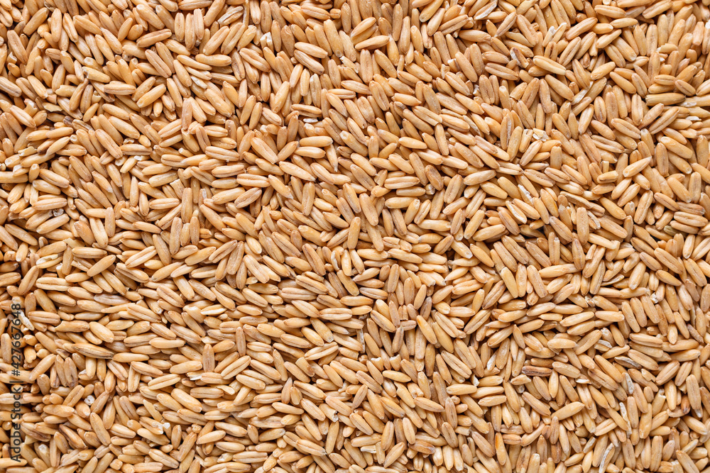 Oat groats. Raw whole oat seeds. Texture background. Healthy eating. Top view. Oat groats. Raw whole oat seeds. Texture background. Healthy eating. Top view.