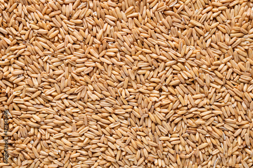 Oat groats. Raw whole oat seeds. Texture background. Healthy eating. Top view.
