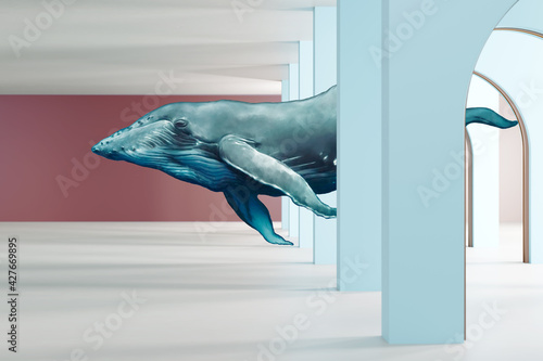 whale in a fantsy room photo