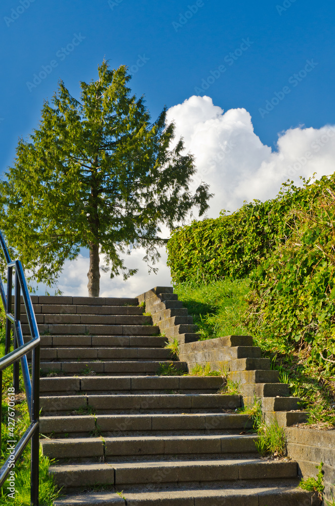 A stone staircase at the Stanley Park at Downtown of Vancouver, Canada.