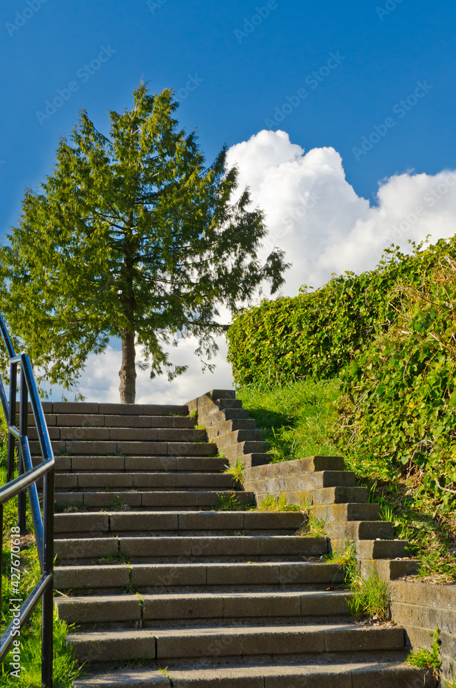 A stone staircase at the Stanley Park at Downtown of Vancouver, Canada. A stone staircase at the Stanley Park at Downtown of Vancouver, Canada.