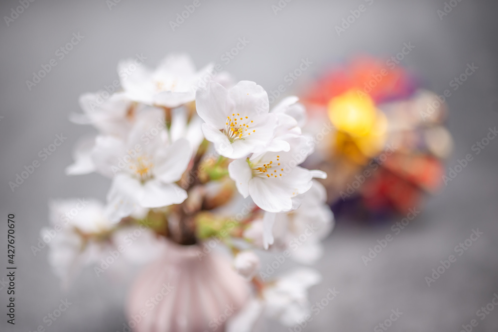 春薫る 春薫る