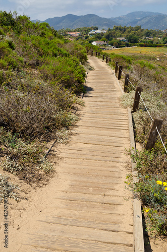 Fragment of Point Dume trail in Malibu  California.