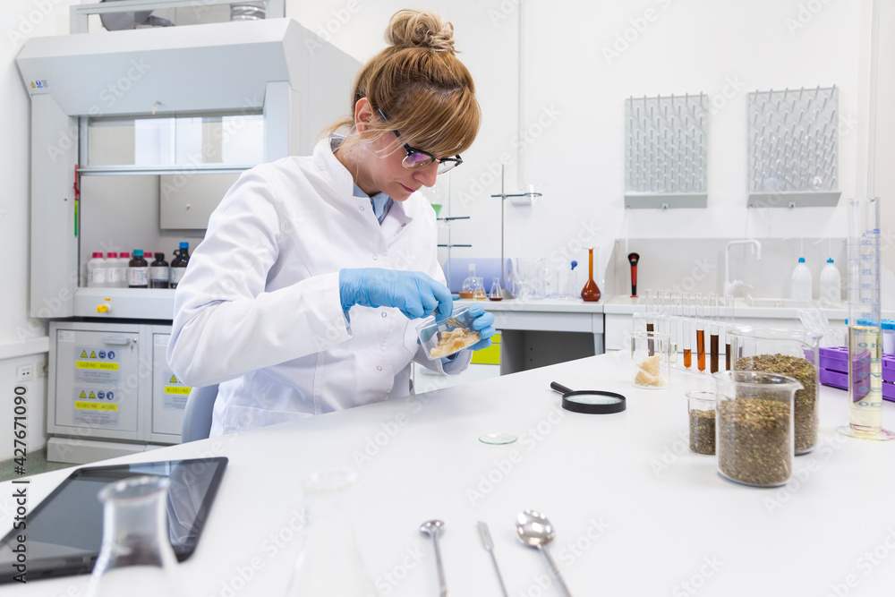Chemist working with terpene CBD crystals in laboratory Chemist working with terpene CBD crystals in laboratory