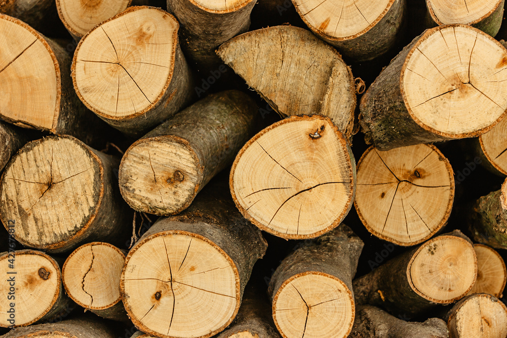 Khám phá hình ảnh các đốt gỗ lửa dã ngoại đa dạng và lành mạnh nhất. Các mảnh gỗ ở đây được chọn lọc kỹ càng để đảm bảo an toàn khi sử dụng.