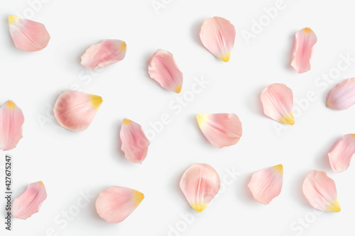 Gently pink petals of tulips or roses flowers on a white isolated background photo