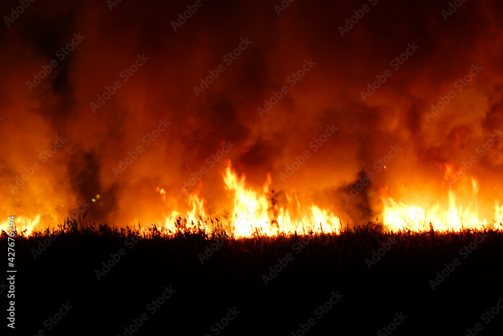 Flames from dry grass fire at night. Night fire in the field Flames from dry grass fire at night. Night fire in the field