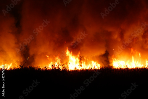 Flames from dry grass fire at night. Night fire in the field