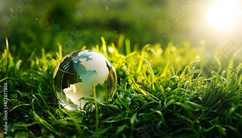 Glass globe in green grass at sunny background.  Concept of the Environment World Earth Day. 
