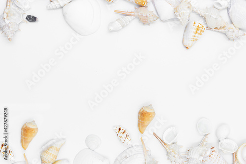 Top view Frame shells are beautiful isolated on white background 