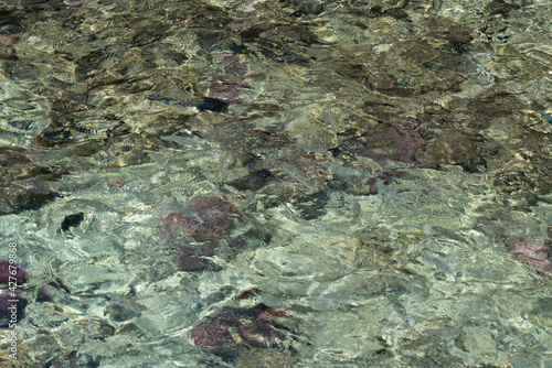 A texture of tropical sea water over coral reef