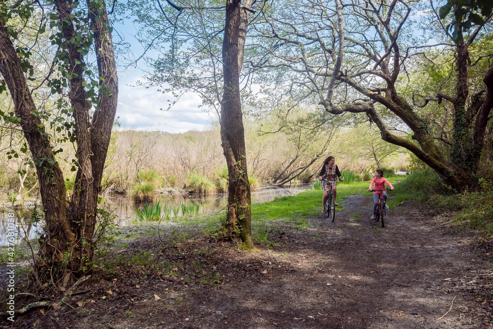 bike, family, bicycle, mother, child, nature, forest, cycling, sport, cyclist, happiness, pleasure, together, woman, park, couple, path, biking, walking, road, mountain, people, outdoors, walk, young, bike, family, bicycle, mother, child, nature, forest, cycling, sport, cyclist, happiness, pleasure, together, woman, park, couple, path, biking, walking, road, mountain, people, outdoors, walk, young,