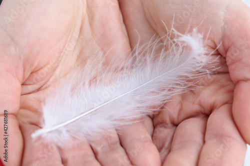 Man has white fluffy feather in his hand