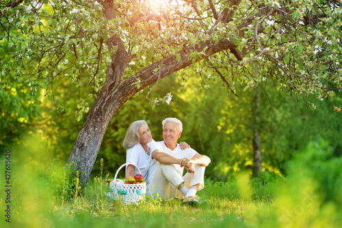 Loving elderly couple having a picnic © aletia2011