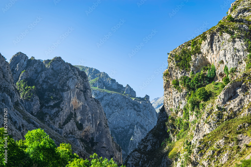 A steep and spectacular valley in the light of day. Photograph taken in the Picos de Europa, Asturias, Spain. 