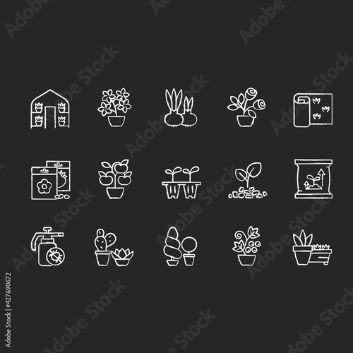 Gardening store categories chalk white icons set on black background. Pesticides for protecting plants from insects. Flower bulbs for spreading plants. Isolated vector chalkboard illustrations