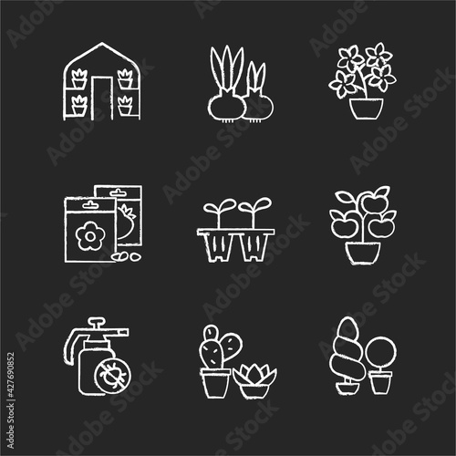 Gardening store categories chalk white icons set on black background. Flower pots and flower beds. Seedling trays for growing flowers at home. Isolated vector chalkboard illustrations