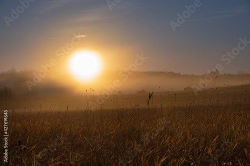 Beautiful autumn sunrise panorama over grazing area pasture with a horse in mist in Sweden