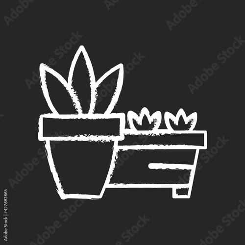Flower pots and flower beds chalk white icon on black background. Place to grow plants inside house. Gardening equipment and tools. Growing beautiful plants. Isolated vector chalkboard illustration