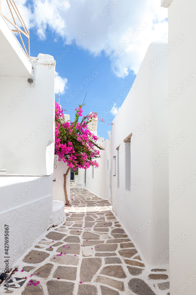Naklejka premium Beautiful alley with whitewashed houses at the traditional village of Marpissa, in Paros island, Cyclades islands, Greece, Europe.