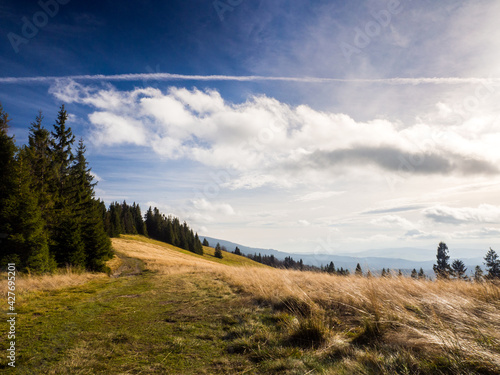 Fototapeta Naklejka Na Ścianę i Meble -  Beskidy