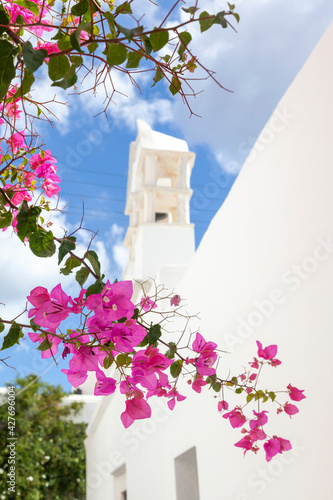 Great bougainvilleas blossomed in an alley at the traditional village of Marpissa, in Paros island, Cyclades, Greece, Europe.   photo