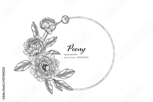 Peony flower and leaf hand drawn botanical illustration with line art.