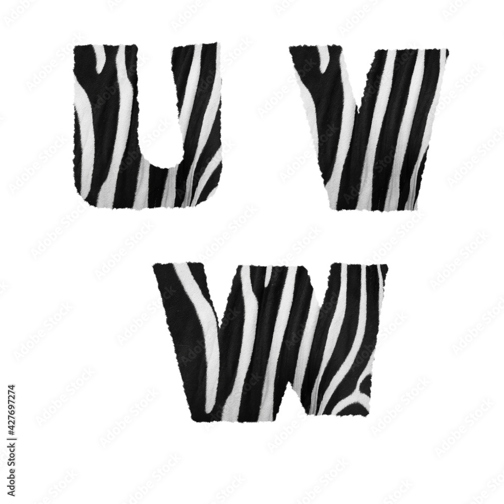 Zebra fur alphabet - letters U-W Zebra fur alphabet - letters U-W