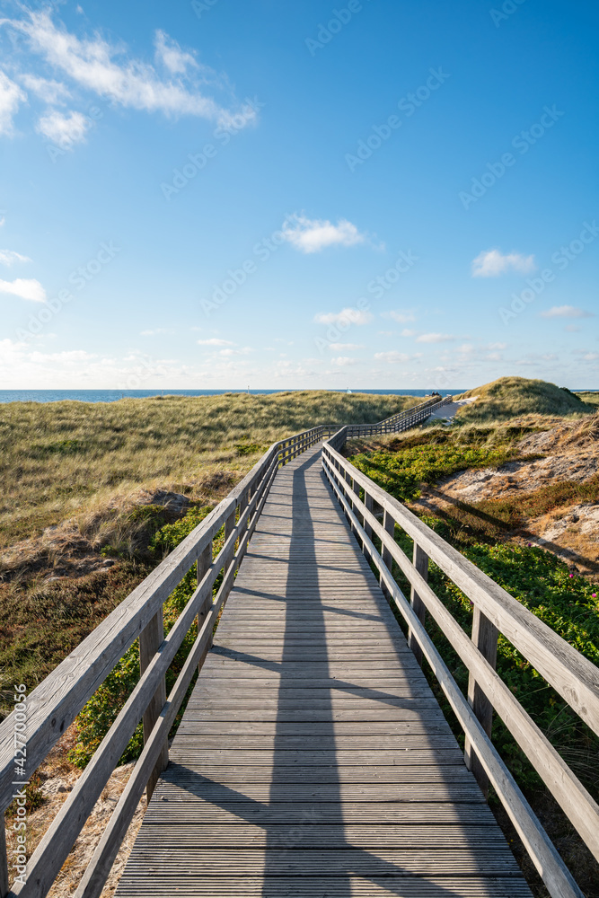 Path through the dunes near Kampen, Sylt, Germany Path through the dunes near Kampen, Sylt, Germany