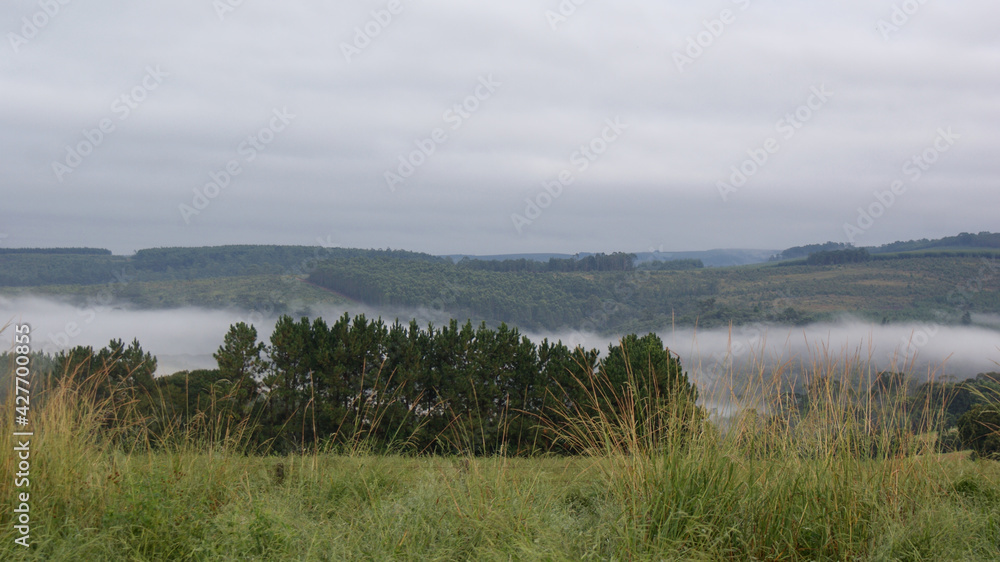 In viaggio nel Paranà (Brasile), tra Curitiba e Londrina In viaggio nel Paranà (Brasile), tra Curitiba e Londrina