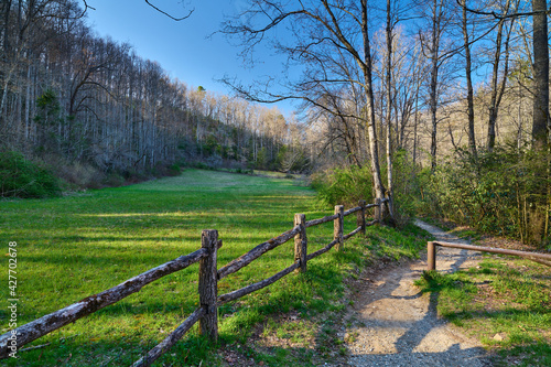 Canvas Print Hiking trail in Pisgah National Forest North Carolina.