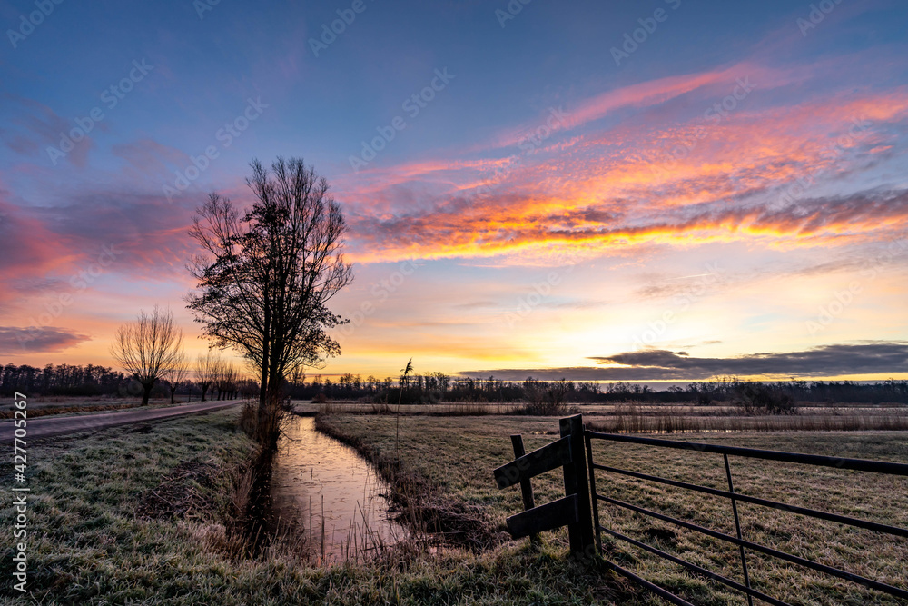 Landscape with pink orange sunrise in the Weerribben, the Netherlands