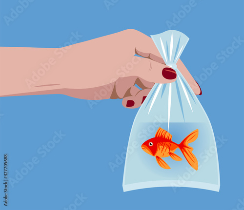 Female hand holding a goldfish in a plastic bag with water