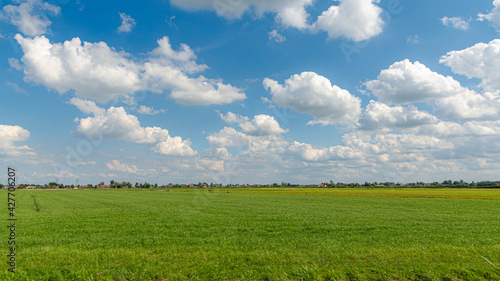Obraz na plátně Summer countryside landscape with flat and low land under blue sky, Typical Dutch polder and water land with green meadow, Small canal or ditch on the field along the road, Noord Holland, Netherlands