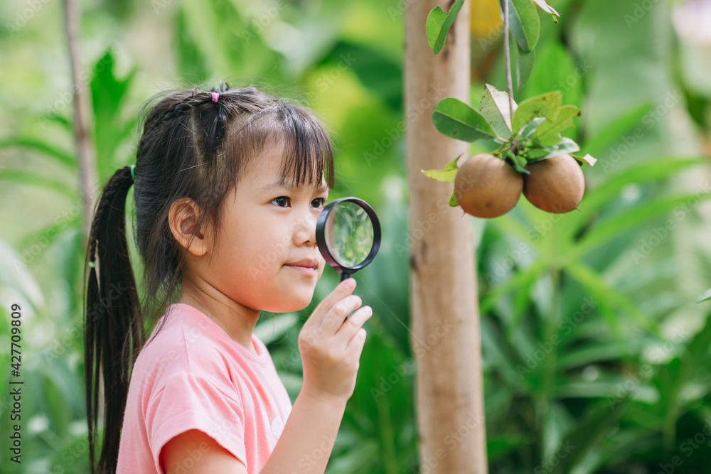 Little children play and exploring in the garden. Concept for eco friendly gardening and sustainable living by grow your own food at home. Little children play and exploring in the garden. Concept for eco friendly gardening and sustainable living by grow your own food at home.