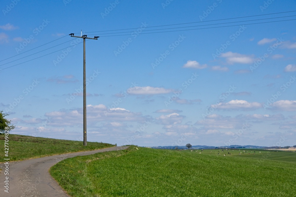 Countryside in the Volcanic Eifel or Vulkan Eifel mountains in Germany Countryside in the Volcanic Eifel or Vulkan Eifel mountains in Germany