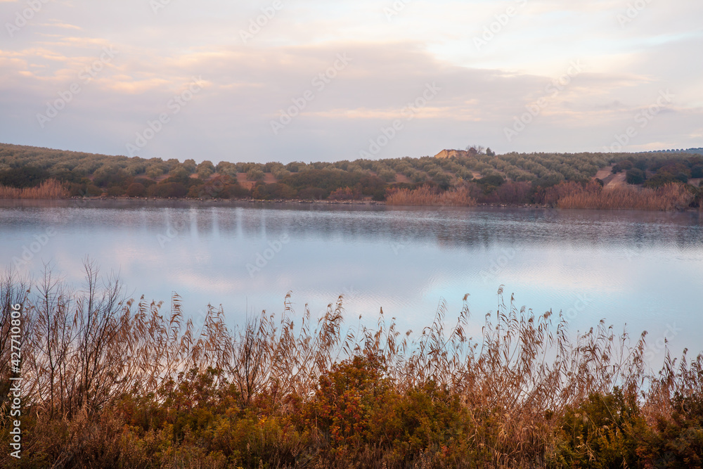 Laguna de Zonar birds nature reserve landscape in southern Spain