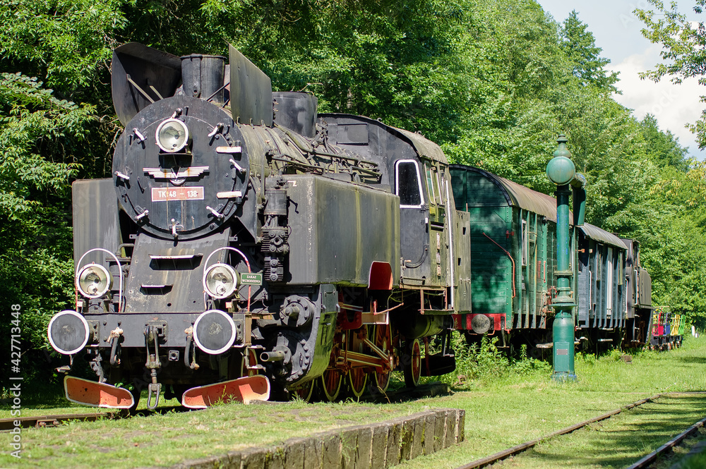 Naklejka premium Czarny parowóz na szynach na tle zielonego lasu