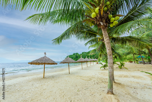 Fototapeta Naklejka Na Ścianę i Meble -  Tien Sa Beach - paradise beach at tropical coast scenery in Da Nang - travel destination in Vietnam