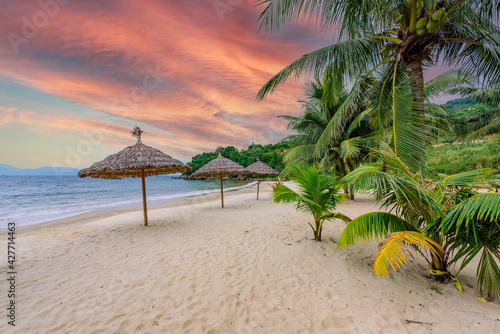 Fotografie Tien Sa Beach - paradise beach at tropical coast scenery in Da Nang - travel des